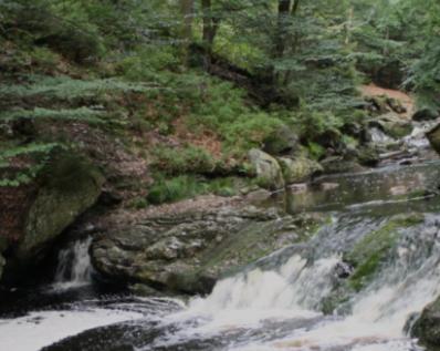 Gite Ardennes Au Coin Du Feu Jacuzzi Sauna Et Nature ชัลเลย์ ภายนอก รูปภาพ